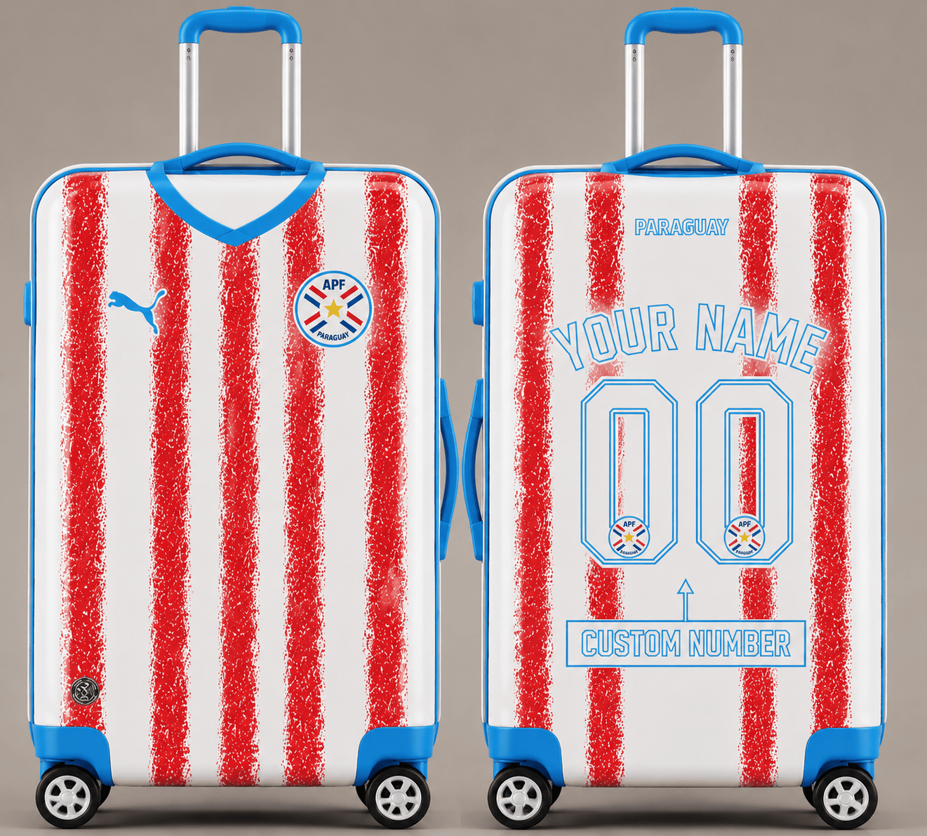 Paraguay WC 26 Luggage Cover HN01