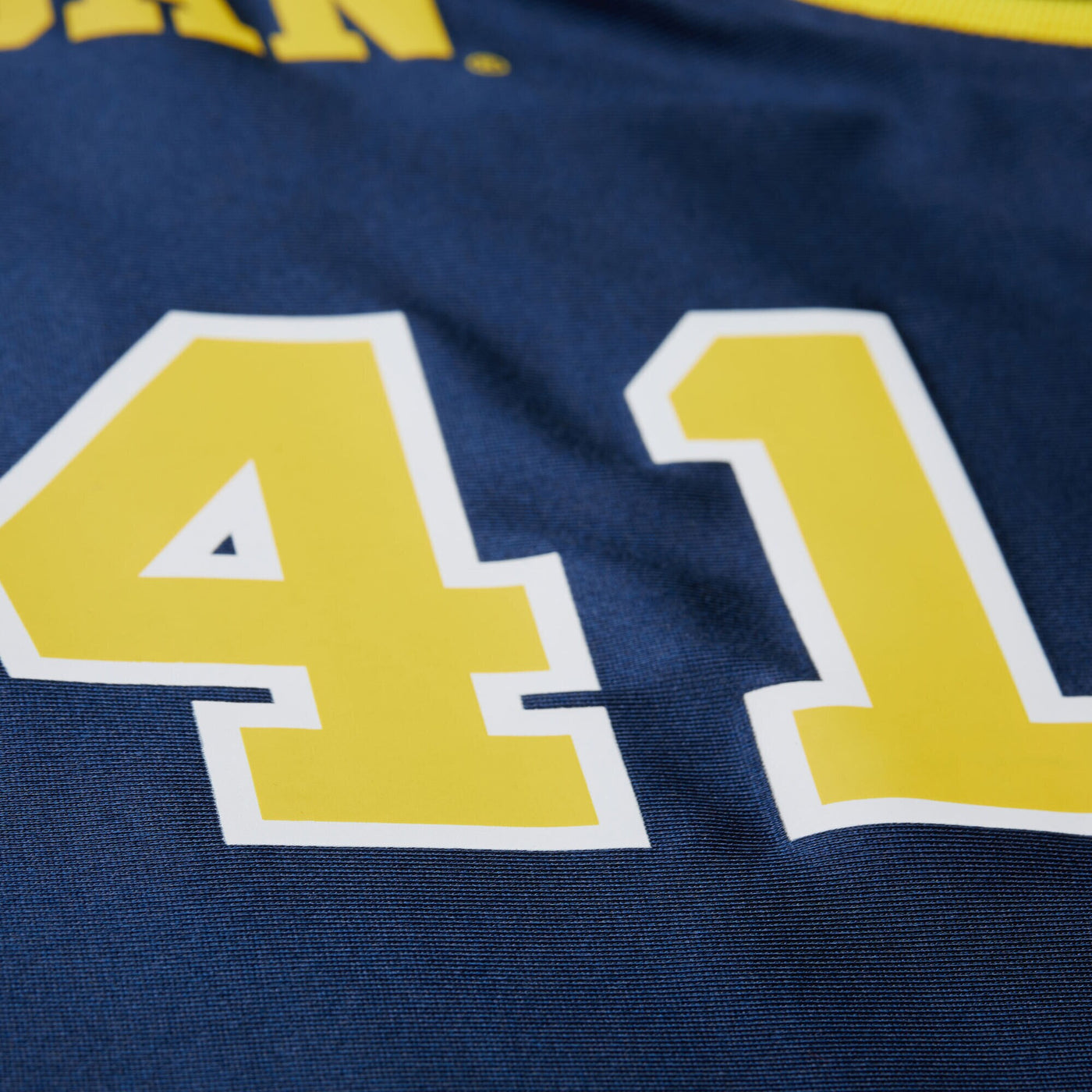 Mitchell & Ness Glen Rice Navy Michigan Wolverines 1988/89 Authentic Jersey
