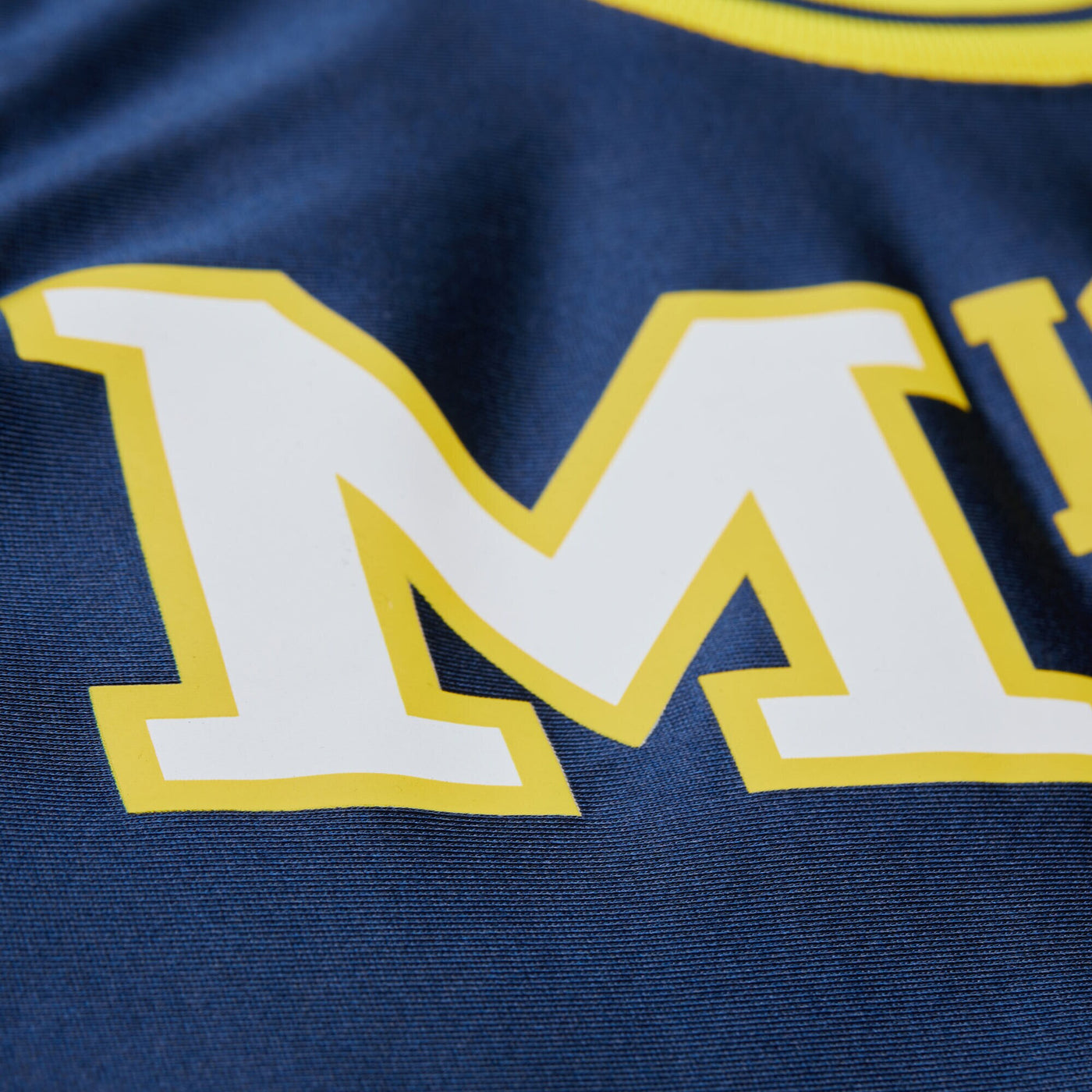 Mitchell & Ness Glen Rice Navy Michigan Wolverines 1988/89 Authentic Jersey