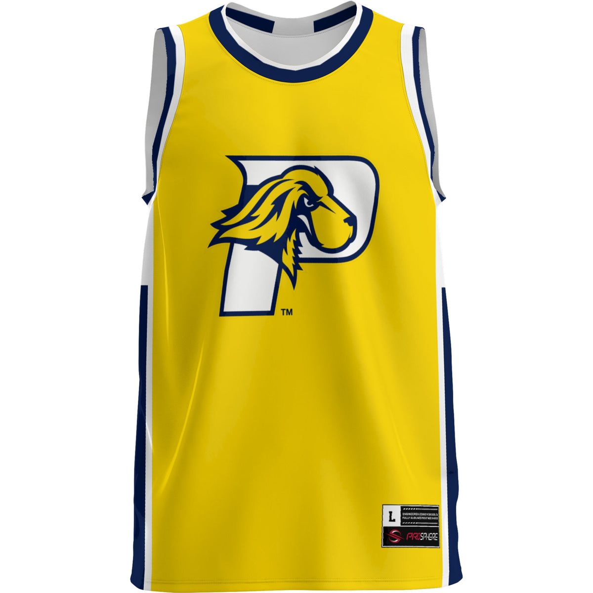 Pace University Setters GameDay Greats Lightweight Basketball Jersey - Blue