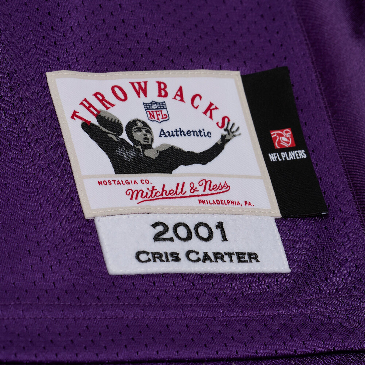 Minnesota Vikings Cris Carter Mitchell & Ness Purple 2001 Authentic Throwback Jersey