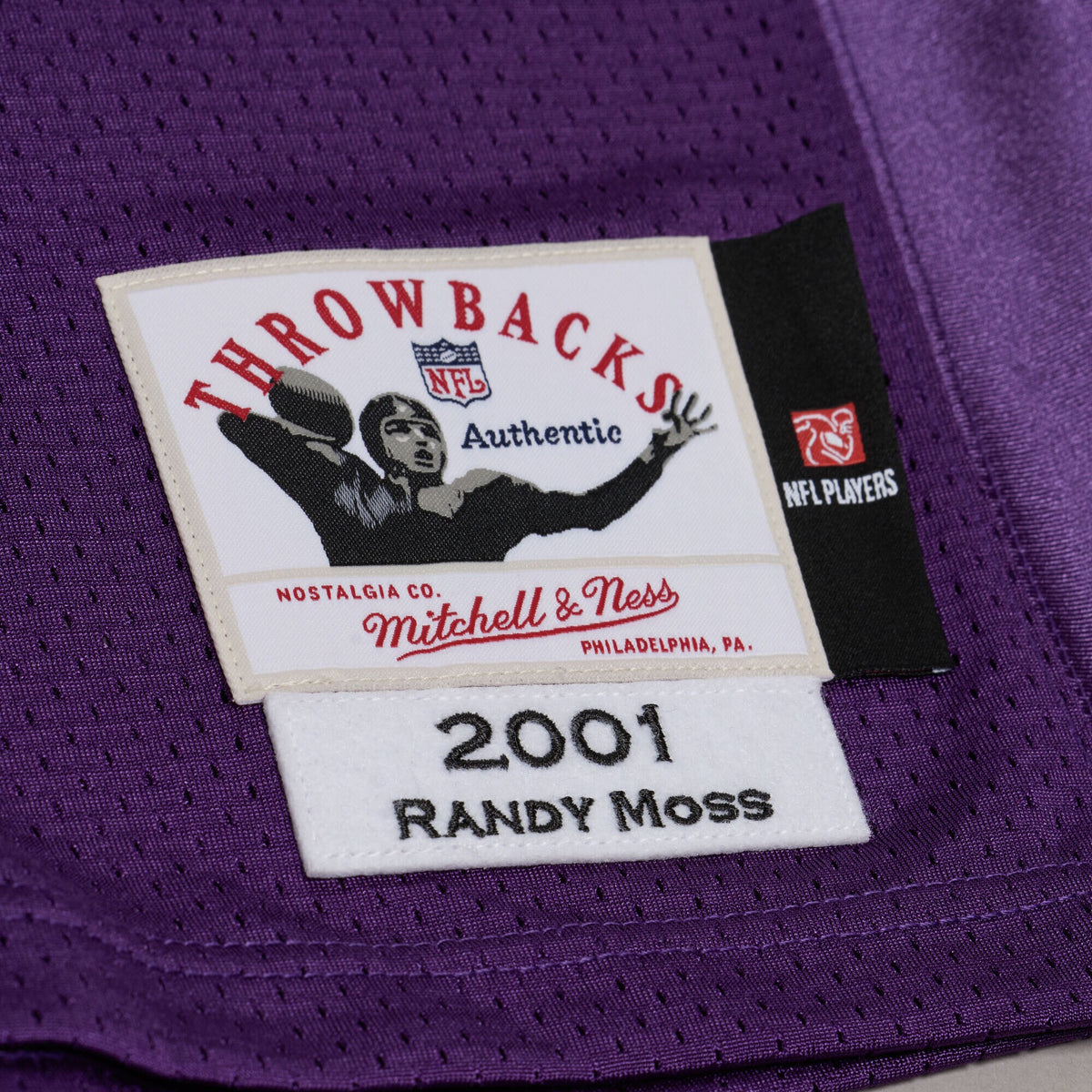 Minnesota Vikings Randy Moss Mitchell & Ness Purple 2001 Authentic Throwback Jersey
