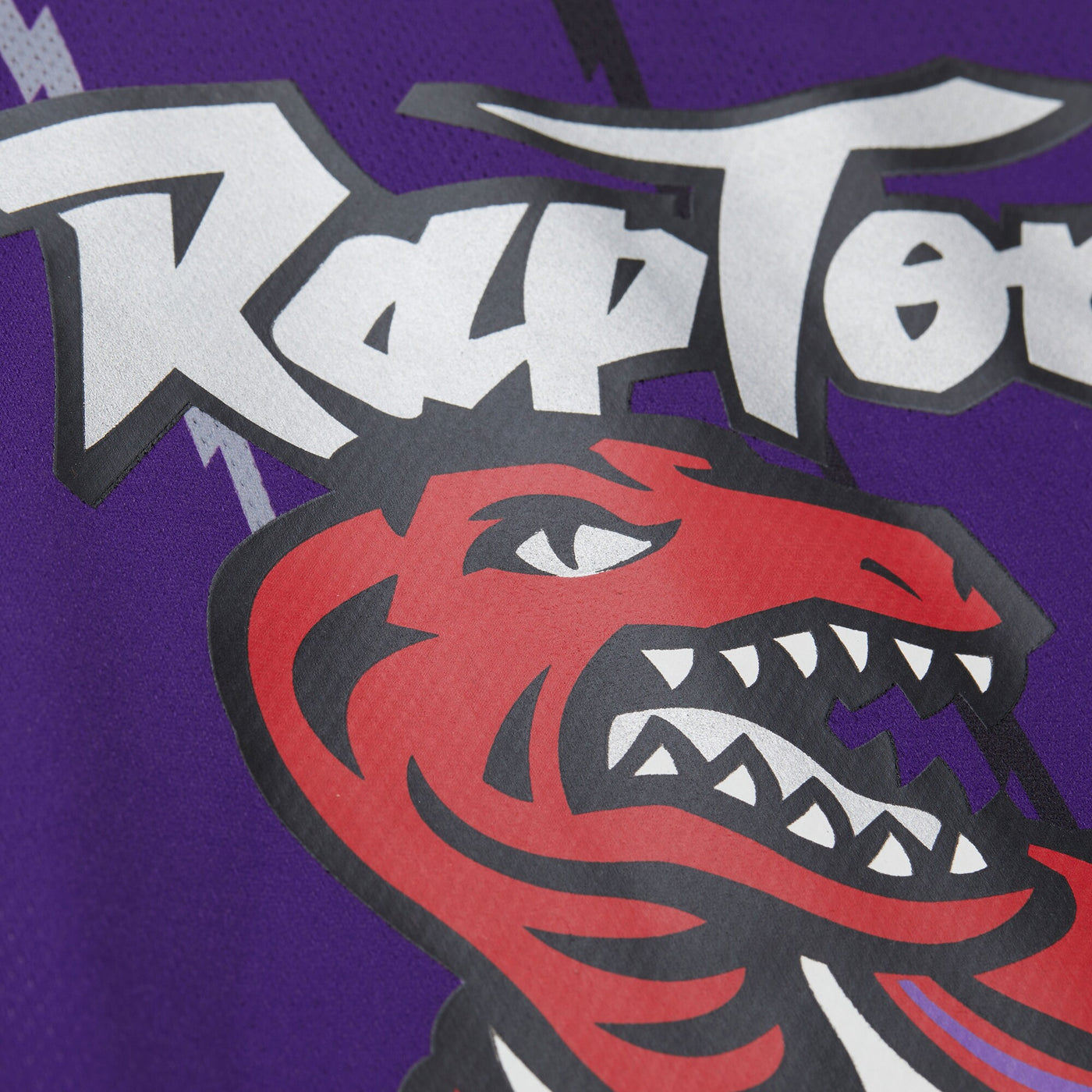 Mitchell & Ness Vince Carter Purple Toronto Raptors Maxxed Out Fashion Hockey Jersey